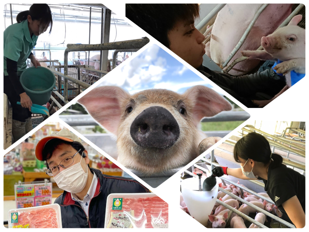 【那須農場】豚の飼育・管理スタッフ【移住支援金対象】／株式会社　ヒラノ