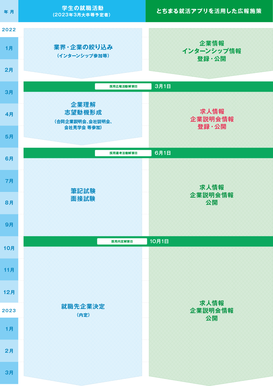 学生の就職活動ととちまるアプリを活用した広報施策の流れ