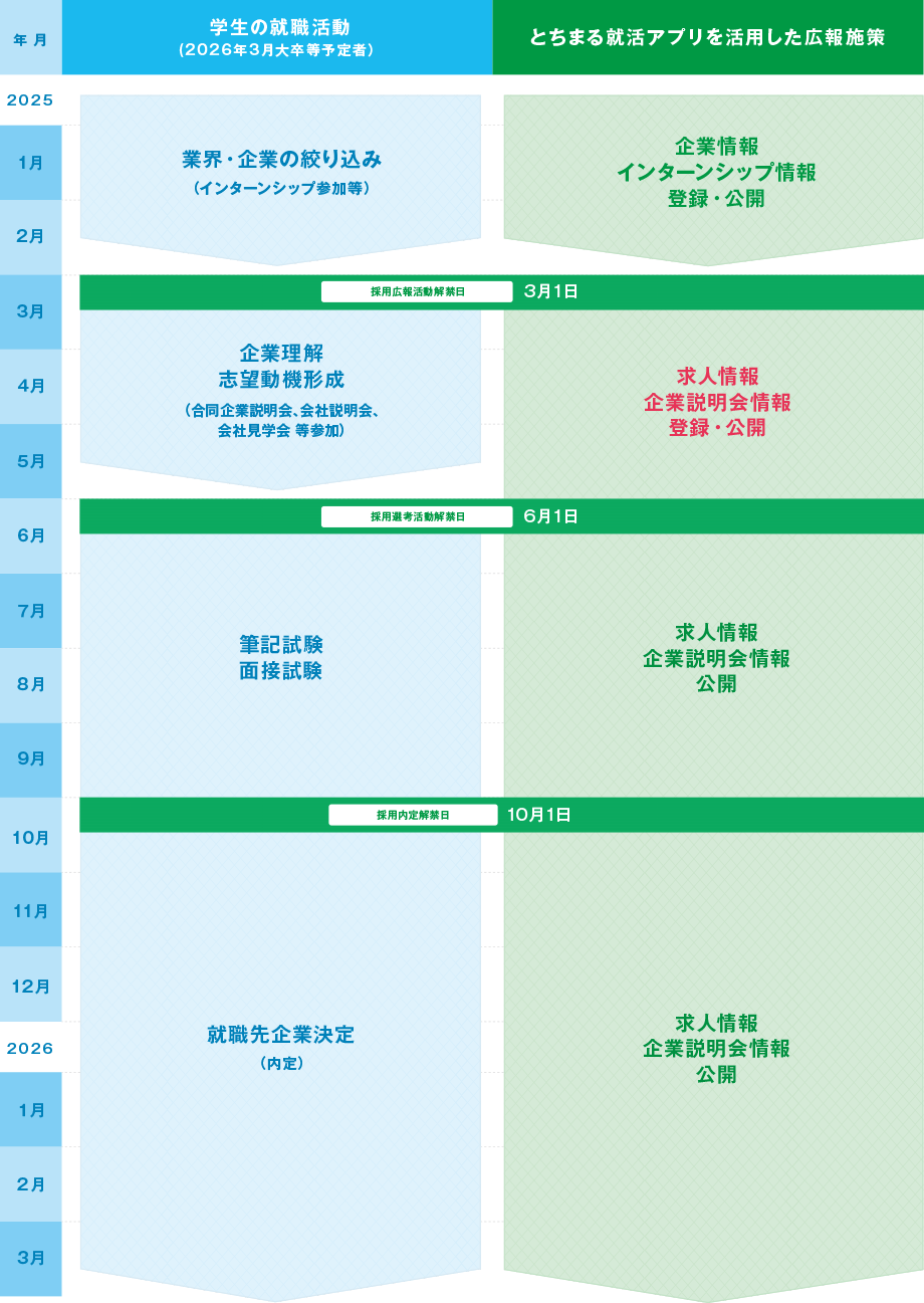 学生の就職活動ととちまるアプリを活用した広報施策の流れ
